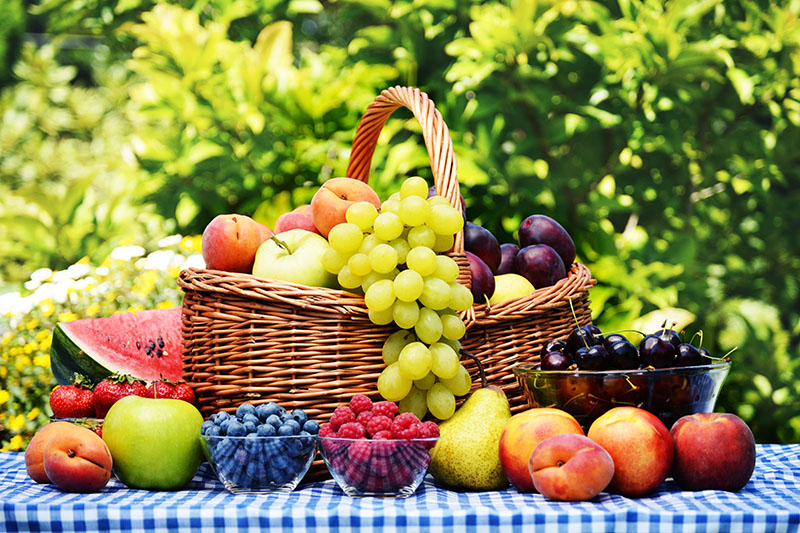 Jak mohou klinické laboratoře pomáhat veganům a vegetariánům?